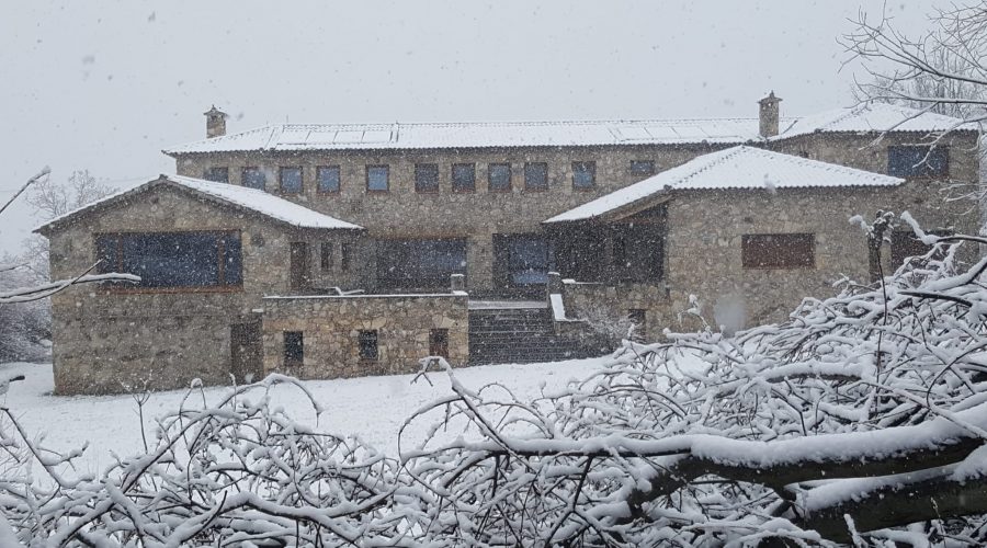 WhatsApp Image 2024-11-13 at 20.24.50